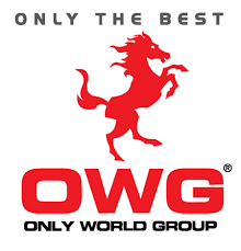 Owg To Manage Ipoh S Animation Theme Park