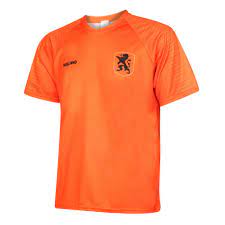 Op zoek naar het nederlands elftal shirt tijdens het ek 2020? Nederlands Elftal Voetbalshirt Thuis Eigen Naam 2018 2020 Kids Senior