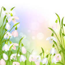 Snowdrops Flowers With Shiny Background Vector Free Cherry Blossom Wall Art Natural Background Free Vector Backgrounds