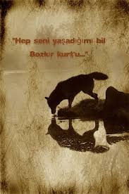 18 Ekim 2015 Saat 09 47 Kurt Yarali Ama Yasiyor Seni Dusunuyor Ama Artik Varligini Hissedemiyor Hayvanlar Hayvan Wolf