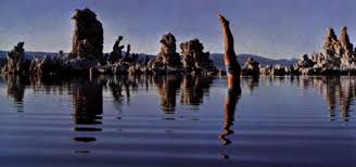 Image result for copertine dischi pink floyd