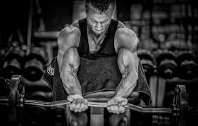 We did not find results for: Wallpaper Power Gym Bodybuilding Bodybuilder Images For Desktop Section Sport Download