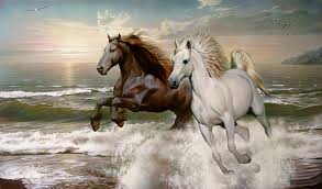 Wild Horse Art Original Oil Painting Horse Art Animals Etsy Horse Art Horses Animal Paintings