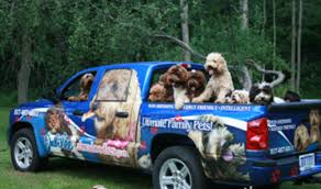 Looking for a dog breeder in michigan? Breeders Michigan