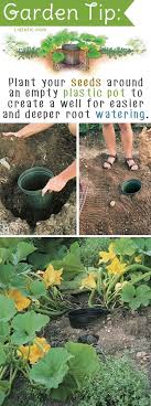 The planted divisions will leaf out beautifully in their new sites. 20 Insanely Clever Gardening Tips And Ideas Flowers Vegetables