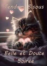 Bonne soirée et douce nuit bisous | Facebook