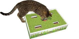 Keeping your kitty indoors is the safest route, but cats are natural hunters and can quickly get bored if they don't have enough stimulation. Cat Puzzle Toys The Best Cat Puzzle Toys To Challenge Your Clever Cat