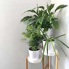 Check spelling or type a new query. Minimalist Style With Planters From Ikea Welcome Objects