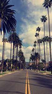 18 Best Wallpapers For Iphone X Xs Xr Xs Max You Should Download 2019 Trip Gether H Palm Trees Wallpaper Tree Wallpaper Iphone Best Iphone Wallpapers