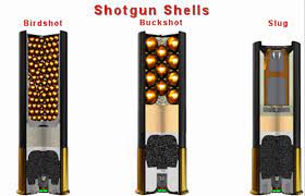 Not the best weapon for my confined area. Best Home Defense Shotgun Ammo 12 Gauge And 20 Gauge Shells