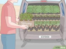 Check spelling or type a new query. How To Start A Plant Nursery Business Wikihow