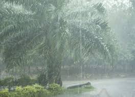 During this time, the west coast experiences sunny weather. Rain In Malaysia Latest News And Update On Rain In Malaysia