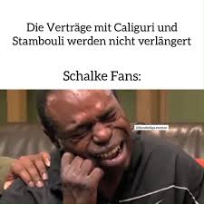 Caption memes or upload your own images to make custom memes. Deinvideobeweis Was Haltet Ihr Davon S04 Schalke Schalke1904 Schalke04 Caliguiri Stambouli Bundesliga Deutschememes Memes Buli Fussball Facebook