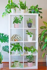 This beautiful headboard is made from natural rattan. 13 Indoor Plant Shelf Ideas You Ll Want To Copy Now Ohmeohmy Blog