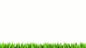 Find the best white background hd on wallpapertag. Download Plain White Hd Wallpaper Gallery
