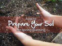 Preparing your soil for planting tomatoes in the home garden. Preparing Your Soil Vegetable Garden Soil Garden Soil Preparation Garden Soil Prep