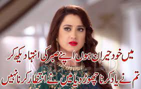 Pin On Urdu Shayari And Urdu Poetry