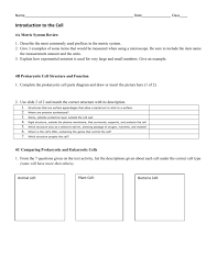 Activity review animal cell structure and function. Introduction To The Cell