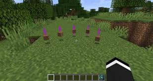 What kind of dragons are in minecraft curseforge? 10 Best Minecraft Mods Of July 2019