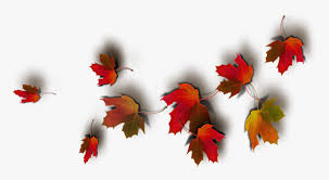 We did not find results for: Today Feels Like A Real Autumn Day Real Leaves Png Fall Leaf Transparent Background Png Download Kindpng