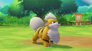 Pokemon Sword And Shield How To Find Growlithe Pokemon Pikachu And Eevee Shiny Pokemon