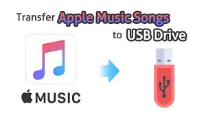 Why not have a box that can hook into a computer using a usb port. Maniya Pravitelstvo Sebe Si How To Organize Mp3 Files On Flash Drive Domainedelacerigue Com