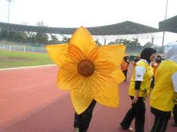 Pembelajaran daring tema 8 subtema 1 kelas 1 sd video pembelajaran tk tema diri sendiri sub tema keluargaku amazing. Flora Fauna In The School Bp Myscience 2011 Challenge