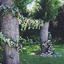 arche 2 arbres au fond du jardin arbre jardins idee