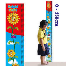 Height Chart Sunflower 150cm