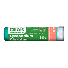 Image result for Lycopodium clavatum