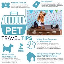 Pet Travel Tips Pet Vacation Pet Travel Animal Room