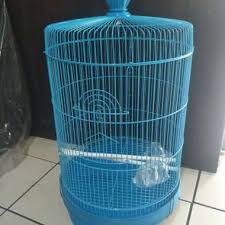 Check spelling or type a new query. Sangkar Lovebird Harga Termurah Agustus 2021 Blibli