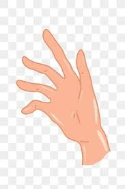 We did not find results for: Gambar Telapak Tangan Terbuka Png Vektor Psd Dan Clipart Dengan Latar Belakang Transparan Untuk Download Gratis Pngtree