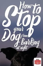 How To Get Your Dog To Stop Barking At Night Time Good Doggies Online Dog Training Stop Dog Barking Training Your Dog