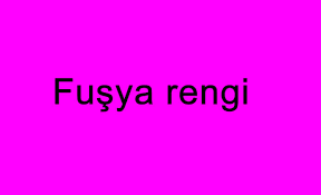 Sizler de dilerseniz birbirinden farklı renkleri bu sayede mavi ve kırmızıyı karıştırarak mor elde edebilirsiniz. Fusya Rengi Ne Renk Fusya Rengi Nasil Elde Edilir