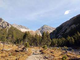Der schweizer nationalpark ist ein el dorado für alle naturliebhaber, leidenschaftlichen wanderer, bergfreunde, tierbeobachter. 3 Tagige Wanderung Im Schweizer Nationalpark