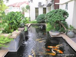 Night shyamalan's 'old' proves time is the most valuable thing we have Koi Pond Design With Best Koi Pond Filter System With How Do You Build A Pond With Koi Pond Waterfall Ideas Outdoor Fish Ponds Pond Design Ponds Backyard