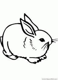 Imprime le dessin lapin realiste sans dépenser le moindre sous. Coloriage Lapin Assis Dessin Gratuit A Imprimer