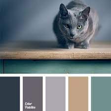 Color Palette 1129 Grey Color Palette Green Colour Palette Blue Cats