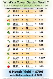 Whats A Tower Garden Worth Study