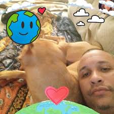 honeybee #yellow #suzukihayabusa #Gen3