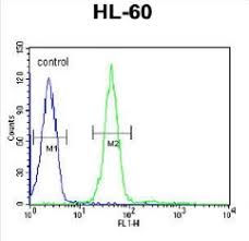 By immunoelectrophoresis and elisa this antibody reacts specifically with human igg and with light chains common to other human immunoglobulins. Polyclonal Grpr Antibody Mybiosource