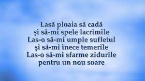 Cele mai multe cuinte din vocabularul sau, provin din latina, iar unele cuvinte sunt preluate din limbile slavone. Celine Dion A New Day Has Come Versuri Romana Youtube