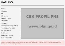 Cek kenaikan pangkat pns 2019, cek kenaikan pangkat periode oktober 2019, profil pns bkn cek nip dan pangkat golongan, cek kenaikan pangkat cek besaran gaji pns menurut rpp tentang gaji tunjangan sumber : Cek Nip Kenaikan Pangkat Guru Paud