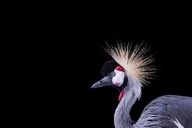 Check spelling or type a new query. Surface Wallpaper 45 Wallpapers Microsoft Surface Pro New Surface Pro Microsoft Surface