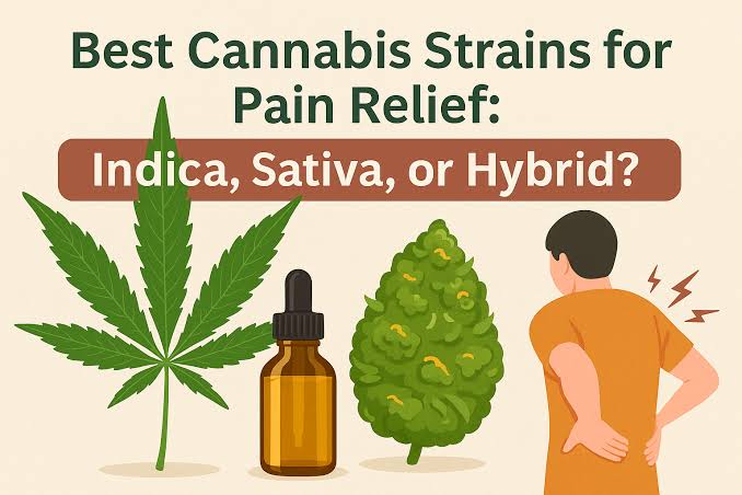 Best Cannabis Strains For Pain Relief: Indica, Sativa, Or Hybrid? - Cure By Design