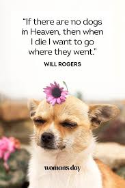 Well, september is just around the corner. 37 Best Dog Quotes Inspirational Funny Sayings About Dogs