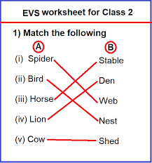3rd grade science worksheets these are mostly reading passages within the content area. Answer Evs Worksheet For Class 2 Body Parts Name