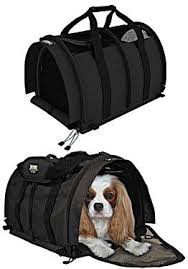 Due to covid, some airlines, like delta and american, are not allowing pets as cargo. Sturdibag Pet Carrier Review Pet Carriers Pets Dog Carrier