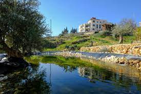 Bank west nature reserves israel approval seven cisgiordania announces israeli palestine sette israele naturali annuncia approvazione riserve bennett naftali occupied. Palestine Institute For Biodiversity And Sustainability